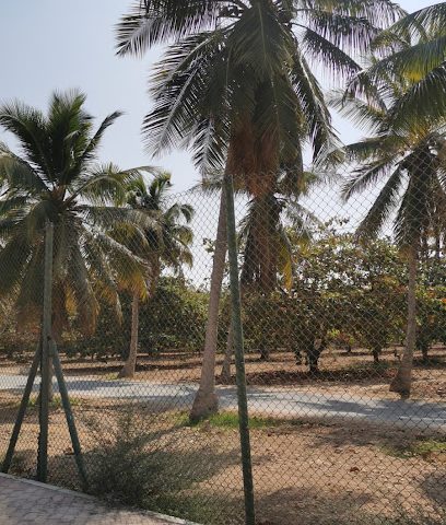 مزرعة أرزات - Salalah -