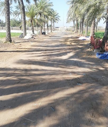 اسلم مزرعه aslam & boota garden - Barka -