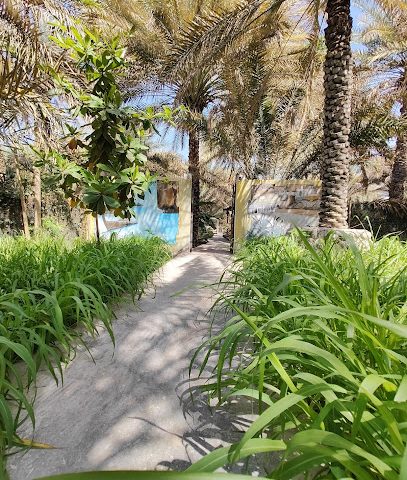 مزرعة أبناء راشد بن سلطان - Alfaiha Samail - +968 9942 3290
