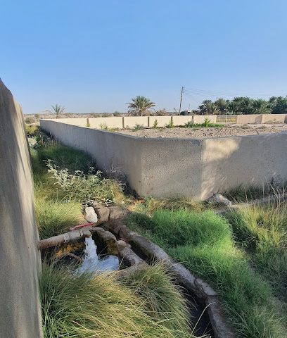 مزارع بونخيلة - Manah -