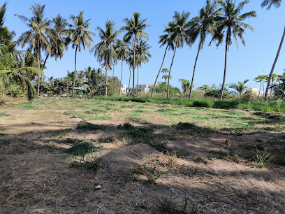 مزرعة الأشراف لأعلاف الحيوانات - Salalah - +968 7942 7771