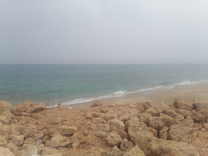 ولاية صور - Sur -