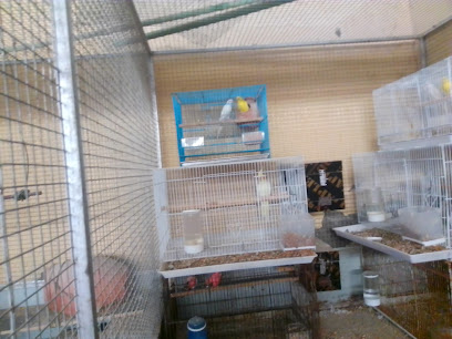 Al marosi Line projects Barka - Barka -