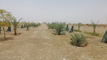 Rawdhah farm - سويد الماء، - +968 9202 2109