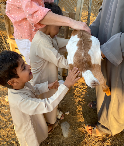 Djinnie Farm مزرعةجن‎ - Muscat - +968 7940 2135