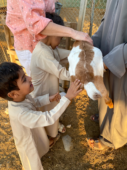 Djinnie Farm مزرعةجن‎ - Oman|Muscat|111|next to the fort