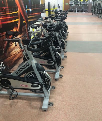 Horizon Fitness- Darsait Ladies - Muscat - +968 24 798917