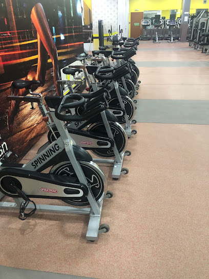 Horizon Fitness- Darsait Ladies - Oman|Muscat