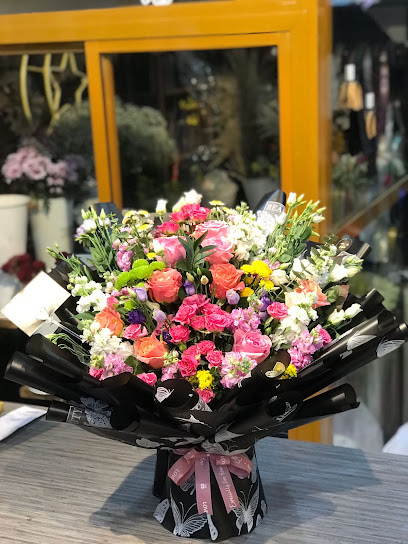 شمس فلور Shams Flower - Oman|ديل ال عبدالسلام|طريق الباطنة، ديل ال عبدالسلام،،