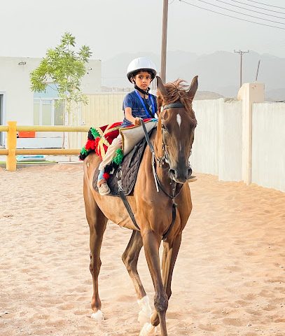 مربط الشرق Alsharq Stud - Ibra - +968 9574 1274
