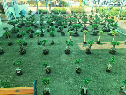 Anaam Al Haya أنعام الحياة - Seeb - +968 7940 2673