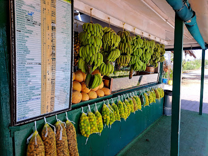 مشلي سلطان - Salalah -