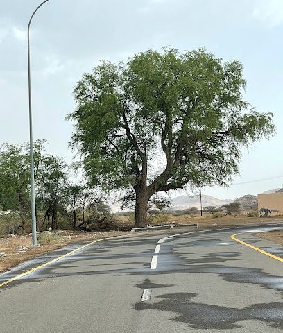 Farm مزرعة مصبح الشامسي - العقيدة -
