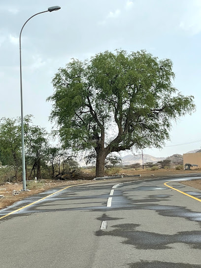 Farm مزرعة مصبح الشامسي - Oman|العقيدة|6X6C+HCQ