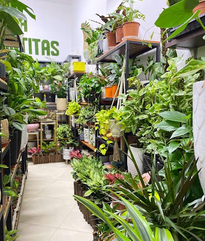 Ola Plantitas - Muscat - +968 7154 2733