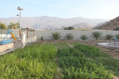 مزرعة اللادن - Nizwa - +968 9541 0417