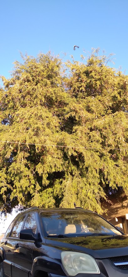 شركة أعلاف ظفار ( الصفوه ) - Oman|Salalah|24MR+2FV