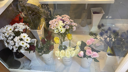 Rosal rose - Sohar -