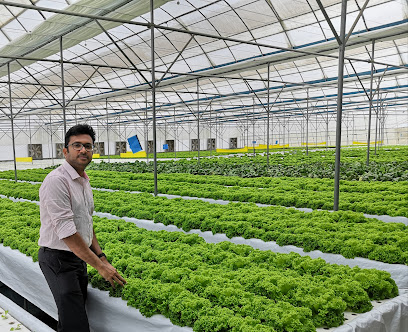 Tech Farming International - مسقط - +968 9117 6551