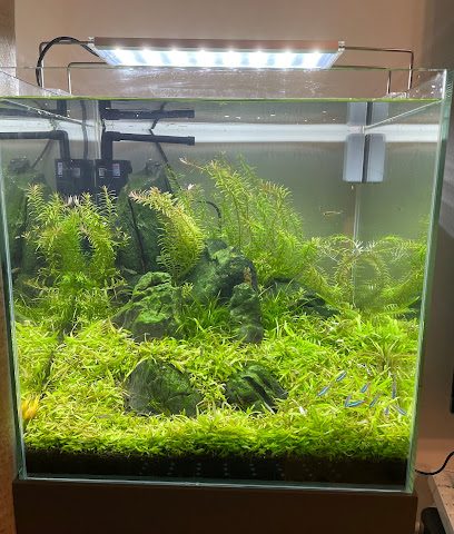 Aqualife - Muscat - +968 9265 1565