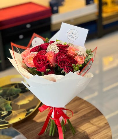alyourina nakhal اليورينا نخل - Nakhl - +968 9129 9555