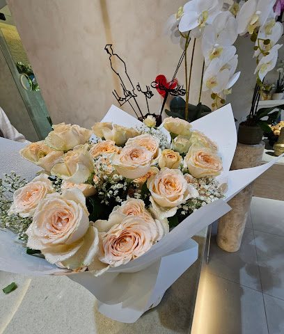 Dia ديـا - Seeb - +968 7722 6677