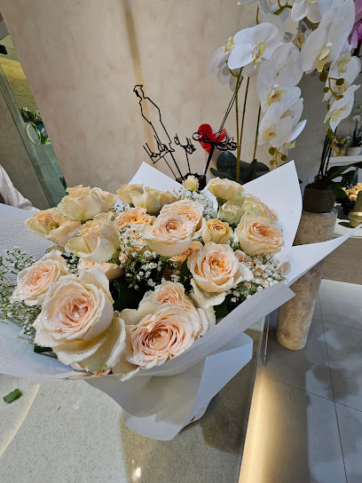 Dia ديـا - Oman|Seeb|Al Mazoon St