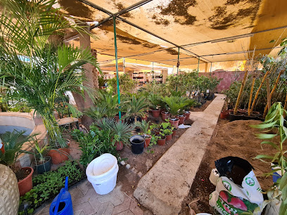 Wakan Gardens Center مركز حدائق وكان - Muscat - +968 9784 6185