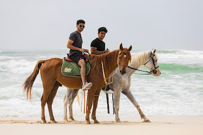 Dhofar Waves Equestrian Club - Taqah Road, opposite Hawana Marina, Salalah, Oman Salalah OM - +968 9265 7978