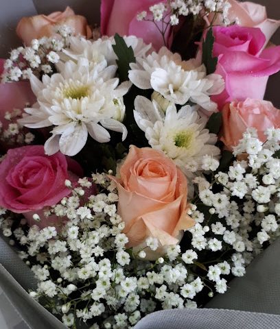 Flora Oman - Muscat - +968 9261 9388