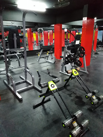 ROCK MODERN GYM - Oman|Samail