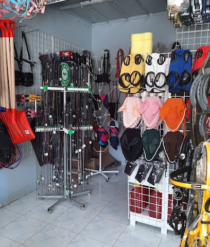 All For Equine - Seeb - +968 24 544083