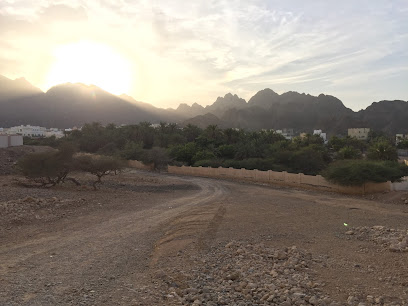 Qantab Date Plantation - Qantab-Al Jissa Rd -