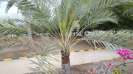 Saham garden - Saham -
