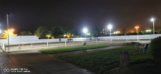 صولجان الخيل - Seeb -