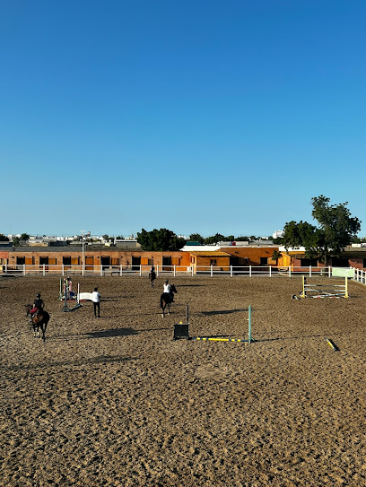 MOJO EQUESTRIAN CENTER - Oman|Ar Rumays|Unnamed Road
