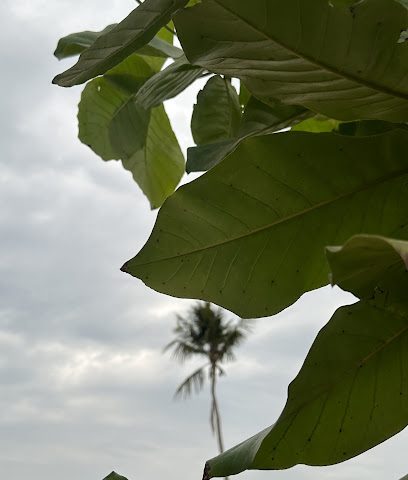 مزرعة النايفه - Sohar -