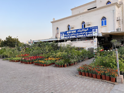 BLUE ROSE FLOWER SHOP الوردة الزرقاء لبيع الزهور و النباتات - Muscat - +968 9972 5719
