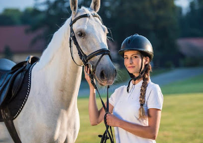 Salalah International Horse Riding Academy - Salalah - +968 9750 2205