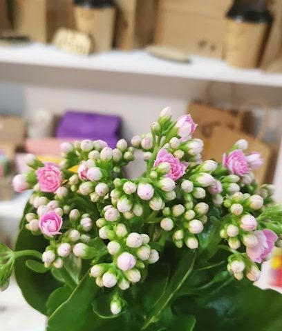 Terter Flower, Plants, Chocolate & Gifts Shop - Seeb - +968 9646 7111