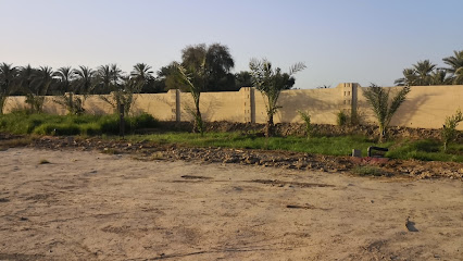 مزرعة خليفة بن سيف بن سلطان الجابري - Sohar -