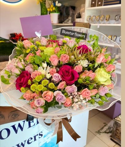 Bluestar flowers - Al Masnaah - +968 9841 0227