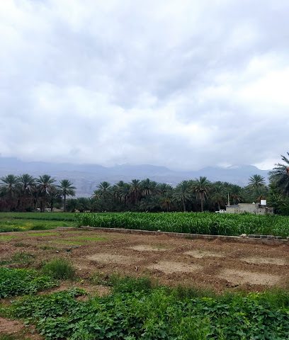 طوي الزامة - Al Hamra -
