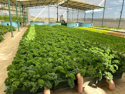Al Arfan Aquaponics - Ar Rumays - +968 9927 7777