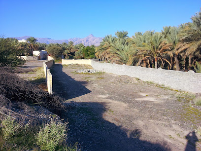 Sultan's Farm - Samail -