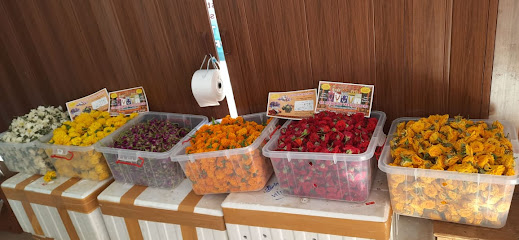 SRIMEENAKSHIFLOWERS-SOHAR - Sohar - +968 7210 0145