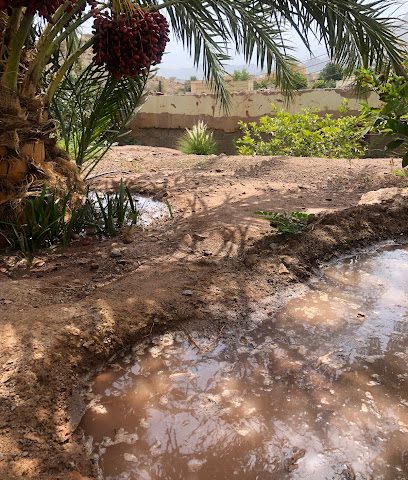 السليمية - Al Hamra -