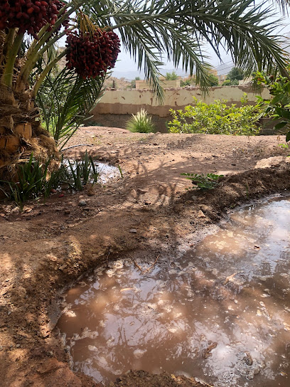 السليمية - Oman|Al Hamra|Unnamed Road|473V+VHF