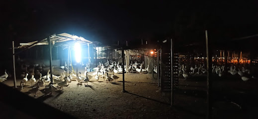 Barka polutary farm - الشخاخيط -