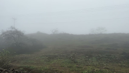 Salalah, Oman - Salalah -